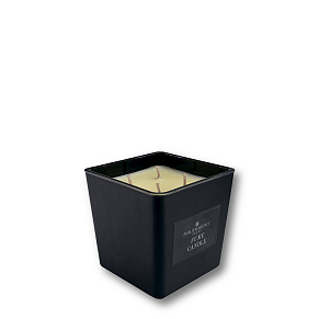 Парфюмированная свеча Philip Martin's Fume' Candle - картинки